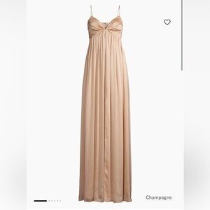 Sachin & Babi Jessica Gown